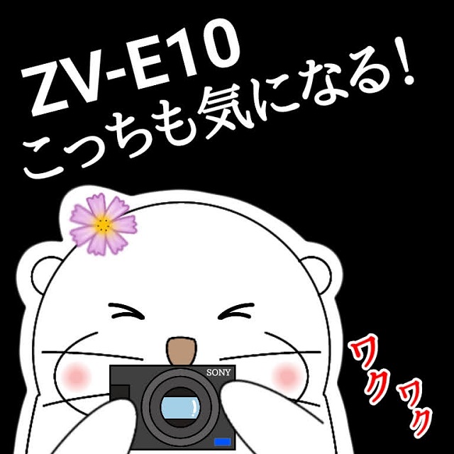 ZV-1を買ったばかりだけど・・・ZV-E10へ買い替えるべき？ソニーのカメラを比較検討します！