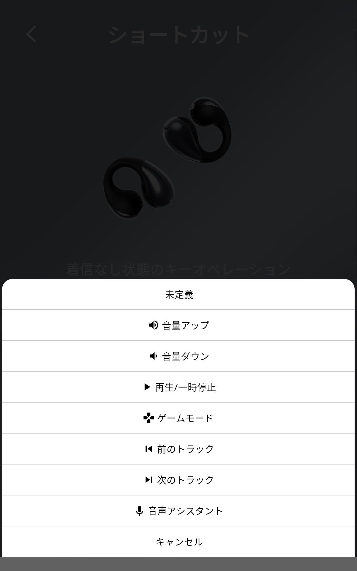 専用アプリ「PeatsAudio」いくつかの設定項目が表示される