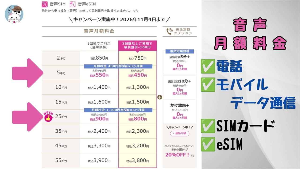 IIJmioの音声月額料金表:5ギガと25ギガは要チェック!