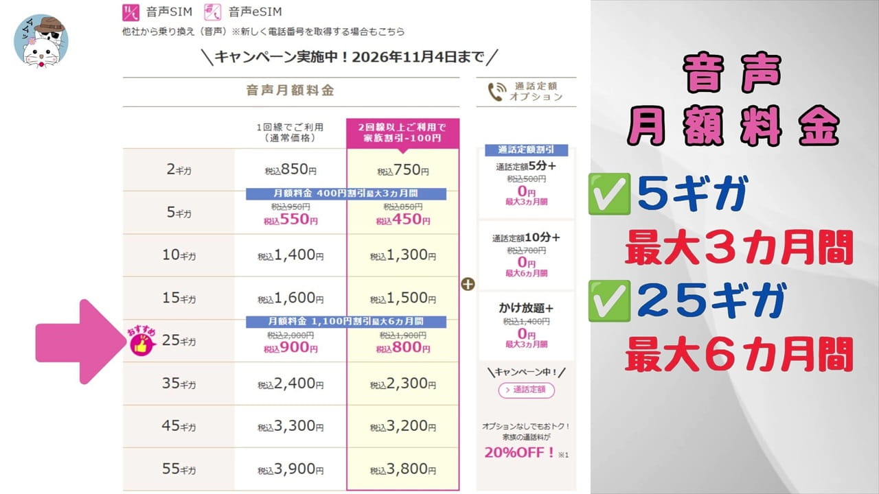 個人的には「25ギガ:900円、最大6ヶ月間」が圧倒的におすすめ!
