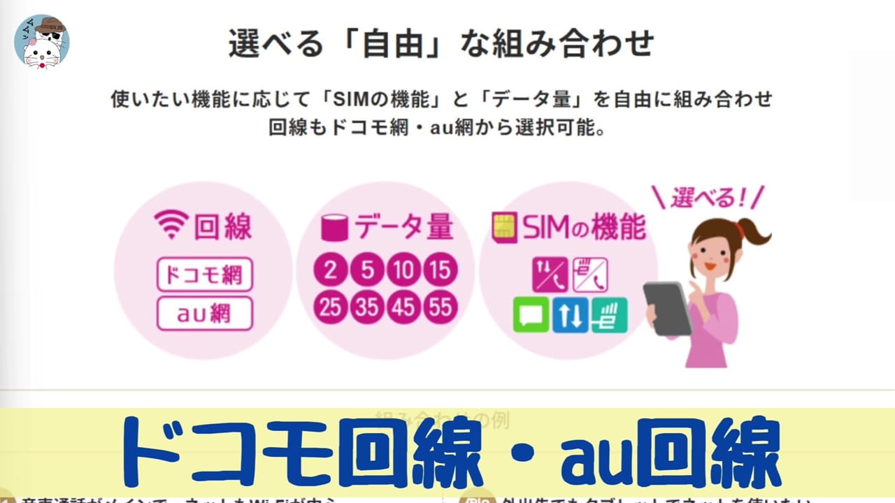 IIJmioはドコモ回線・au回線から任意の回線を選ぶことができる