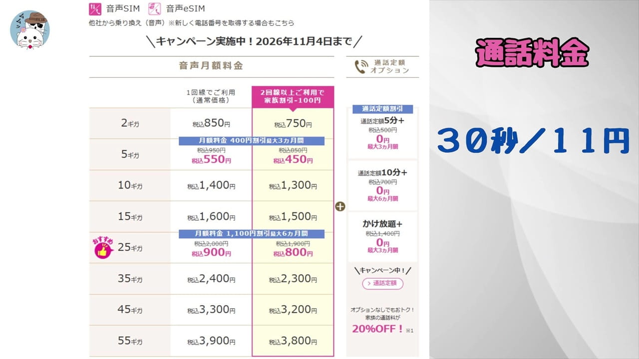 IIJmioの通話料金と通話定額オプションについて紹介