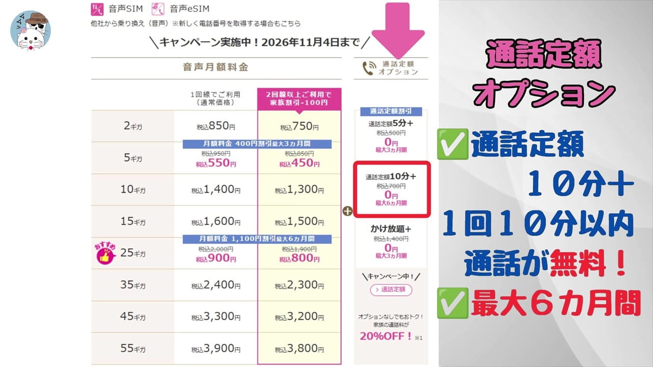 IIJmioの通話定額オプションは3つ用意されている