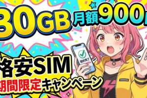 圧倒的に安い！スマホのデータ通信量30ギガで『月額900円』の格安SIMを紹介【期間限定のキャンペーン】